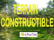 Terrain Courant